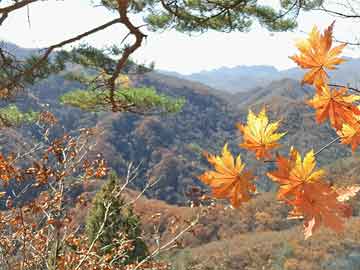 山海：黄金多头强势，白银原油震荡观望